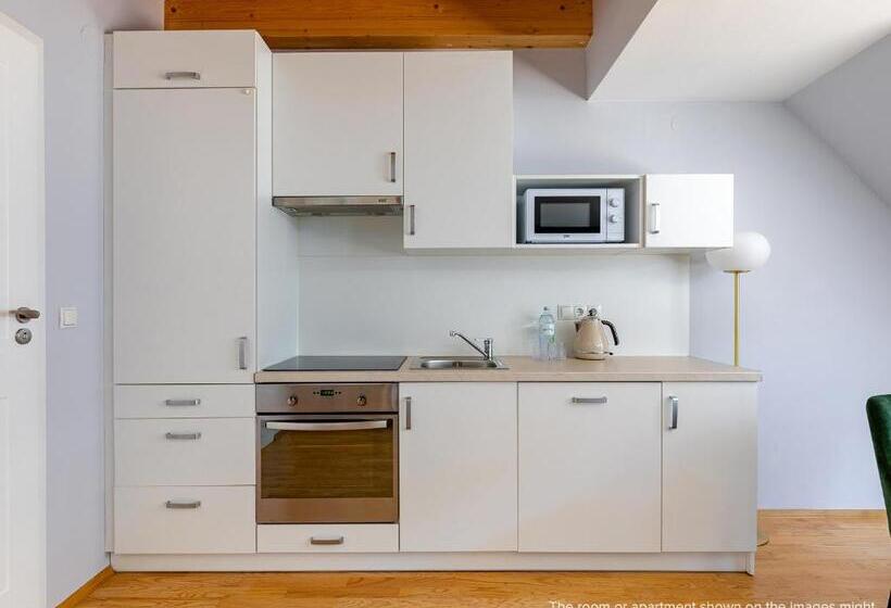 침실 1개 테라스 아파트, Numa I Strauss Apartments