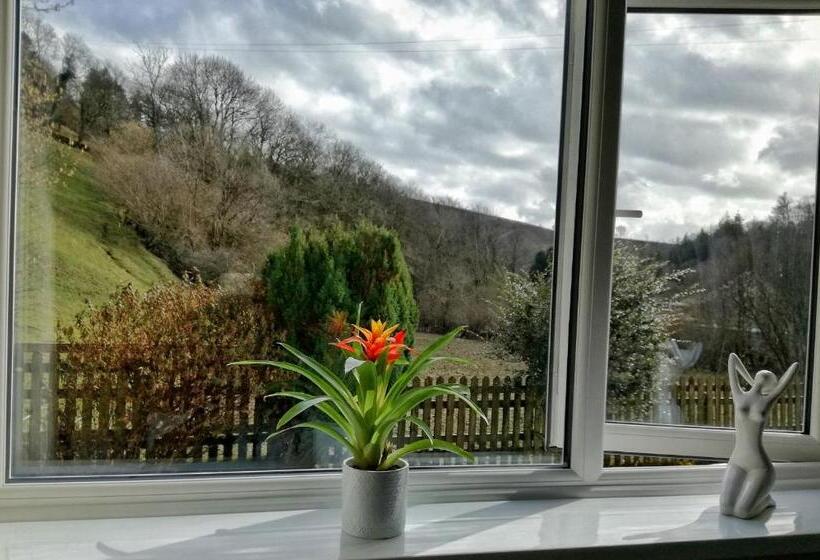 标准间, Neuadd Wen Guest House