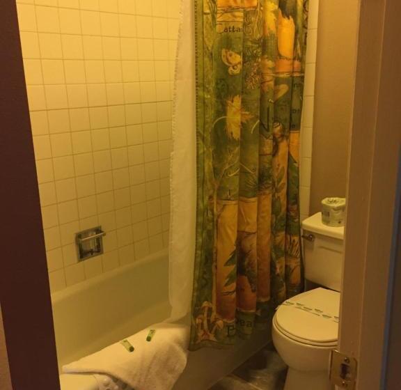 Номер Superior, Rocky Mountain Lodge