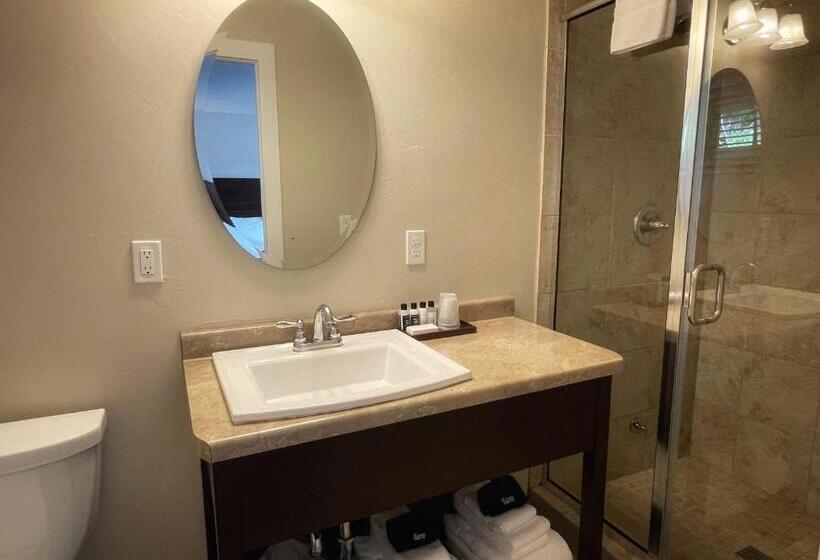 غرفة قياسية سرير كينج, The Water Street Inn