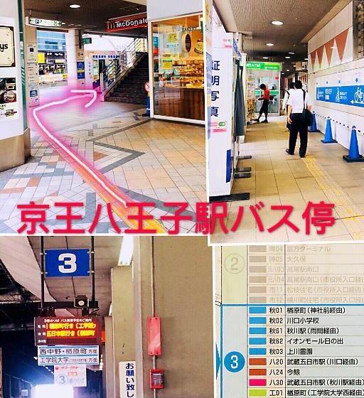 غرفة قياسية, Miyako