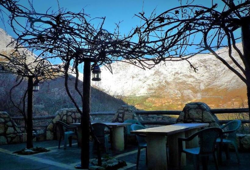 اتاق استاندارد با چشم‌انداز کوهستان, Zaratoustra