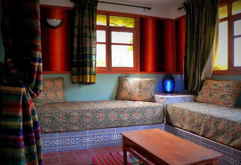 استودیو استاندارد با چشم‌انداز, Zaratoustra