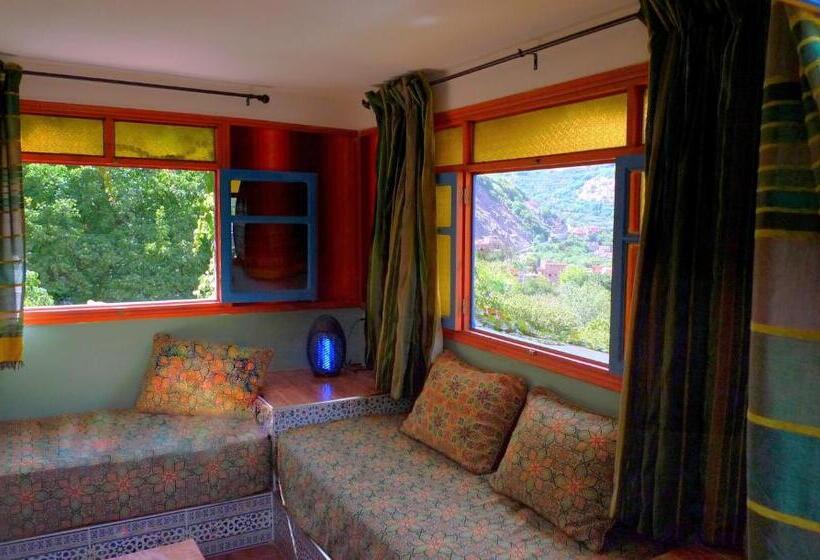 استودیو استاندارد با چشم‌انداز, Zaratoustra