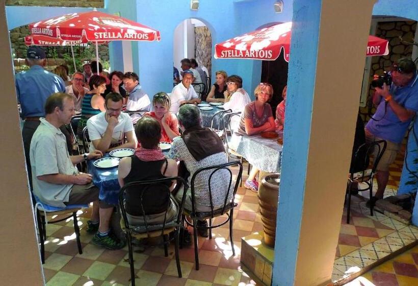 استودیو استاندارد با چشم‌انداز, Zaratoustra