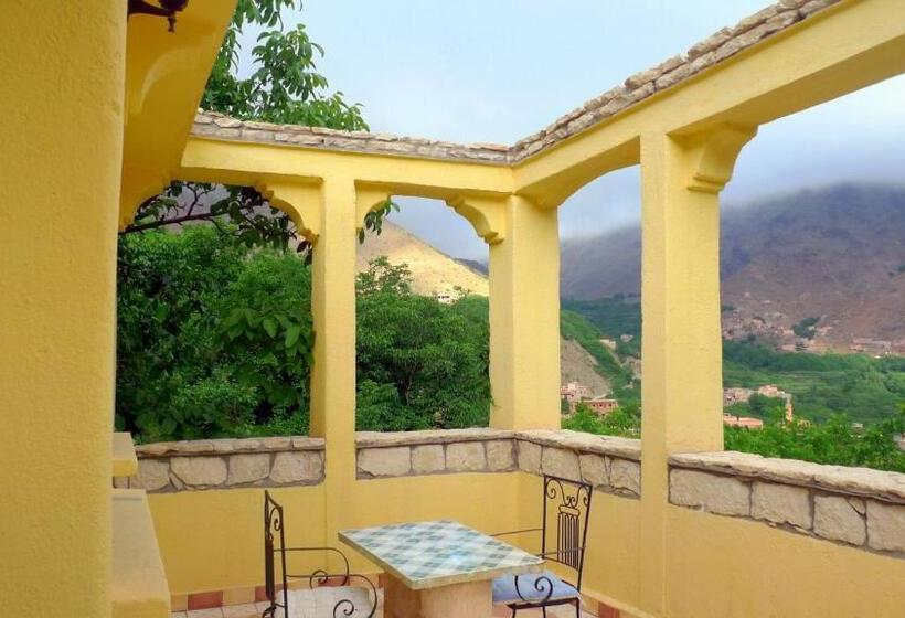 استودیو استاندارد با چشم‌انداز باغ, Zaratoustra