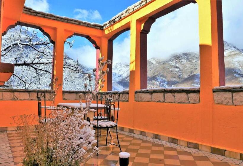 استودیو استاندارد با چشم‌انداز باغ, Zaratoustra