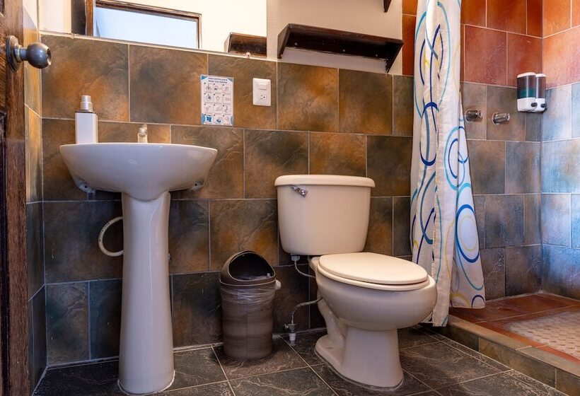 اتاق خانوادگی با چشمانداز دریا, Ast Surf