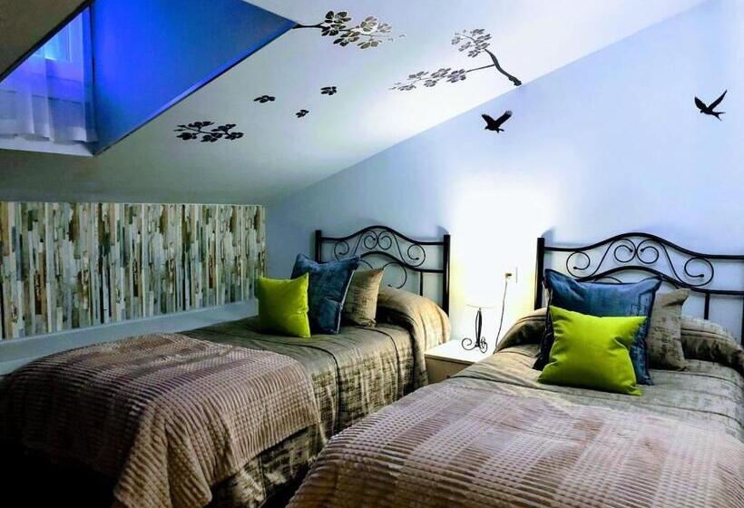 اتاق اکونومی, Pension Ilarrazabal Hss00591