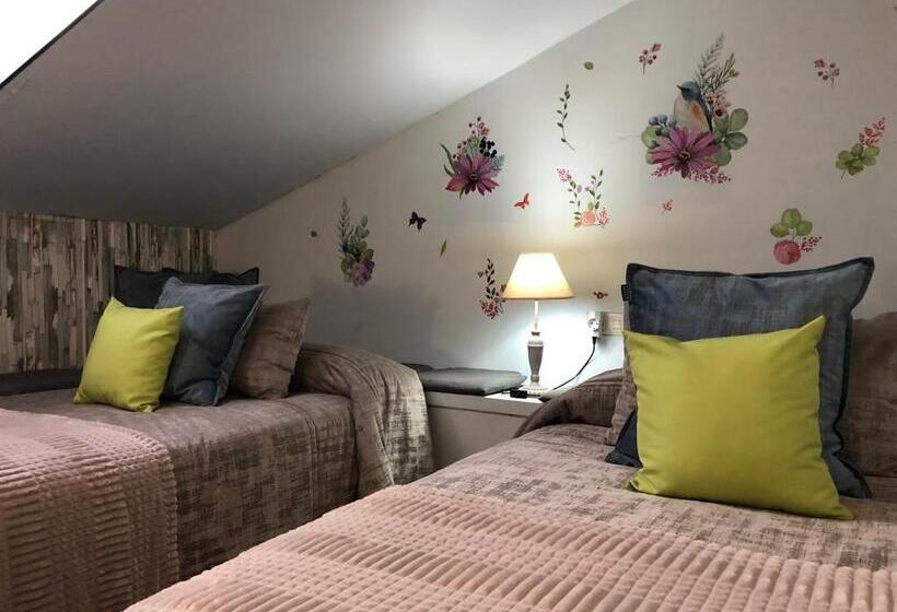 اتاق اکونومی, Pension Ilarrazabal Hss00591