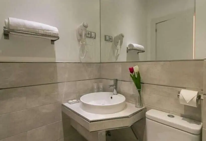 اتاق عادی, Hostal Met Madrid