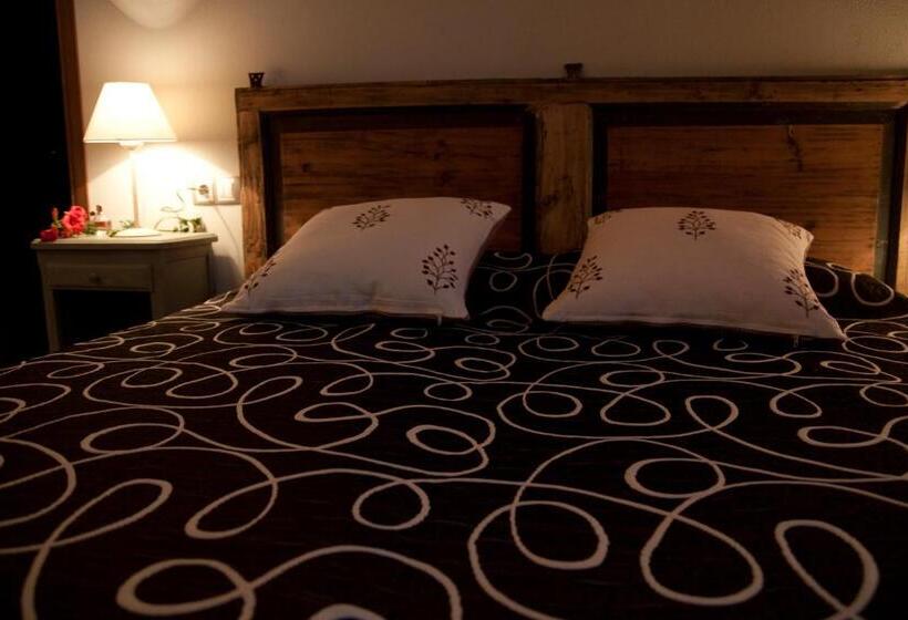 4인용 스탠다드 룸, Can 28