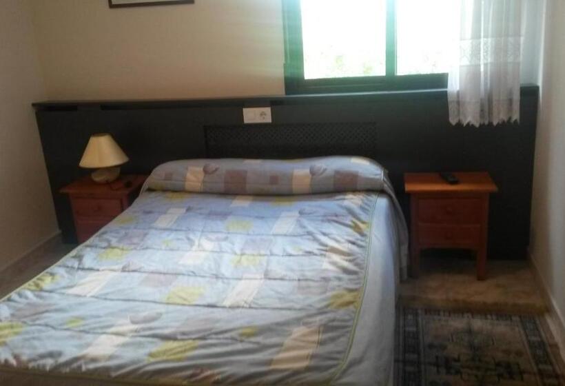 标准单人间, Hostal Residencia Taray