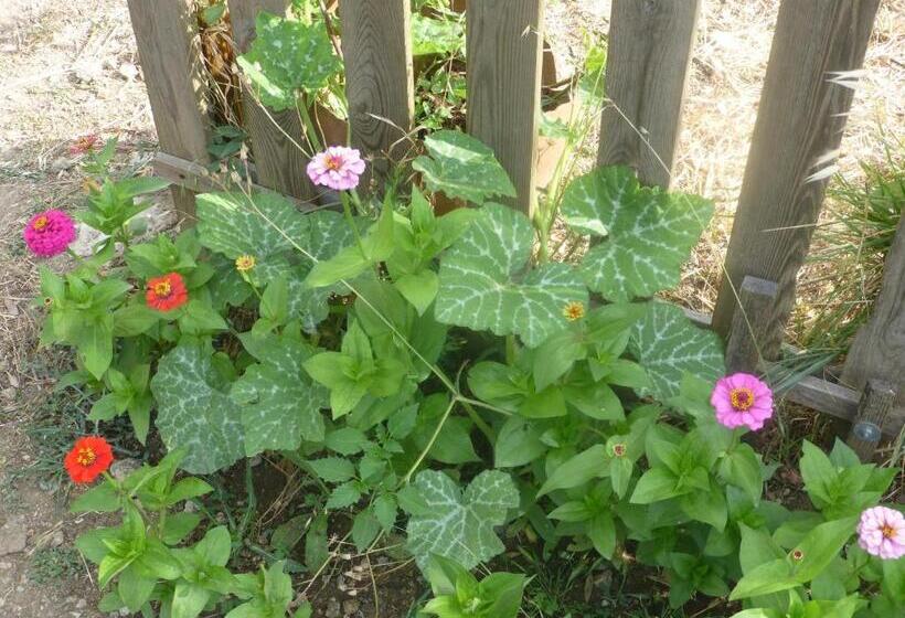 キングサイズベッドのスイートルーム, Monte Das Beatas Alojamento Local