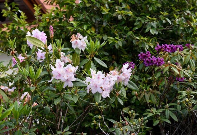 1间卧室的房子, Casas De Pedra