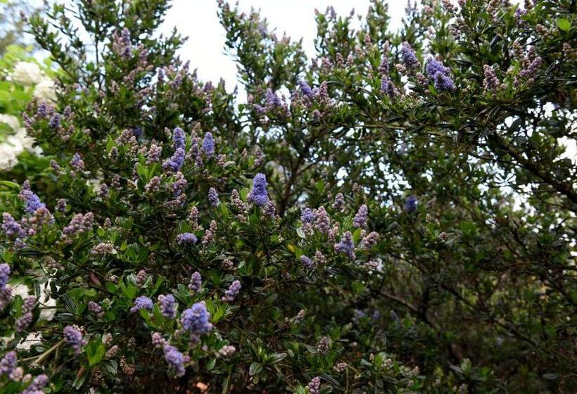 1间卧室的房子, Casas De Pedra