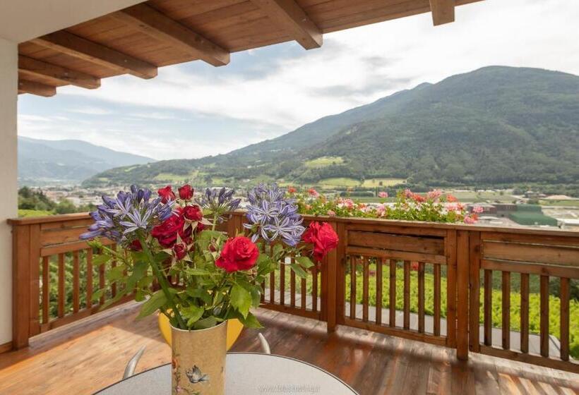 Apartament 1 Dormitor, Sunnegg