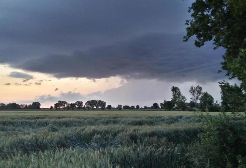 Номер Стандарт, Agriturismo Boschi