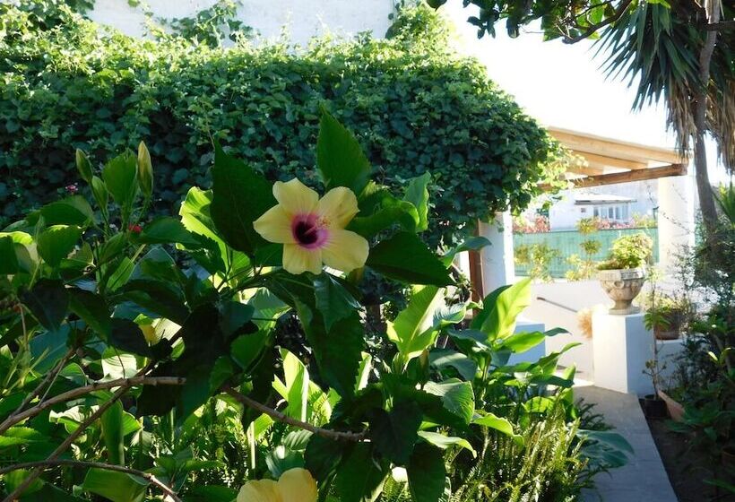 １ベッドルームアパートメント, Case La Pergola