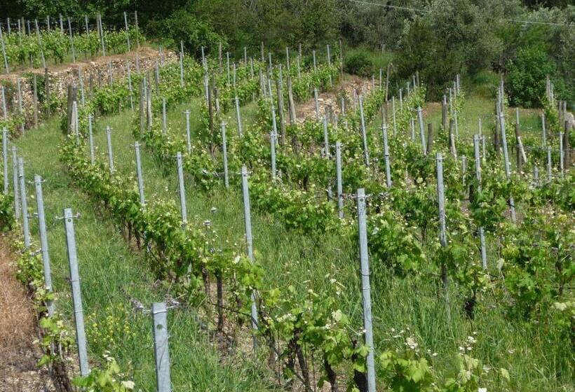 2ベッドルームアパートメント, Cà Dei Conti