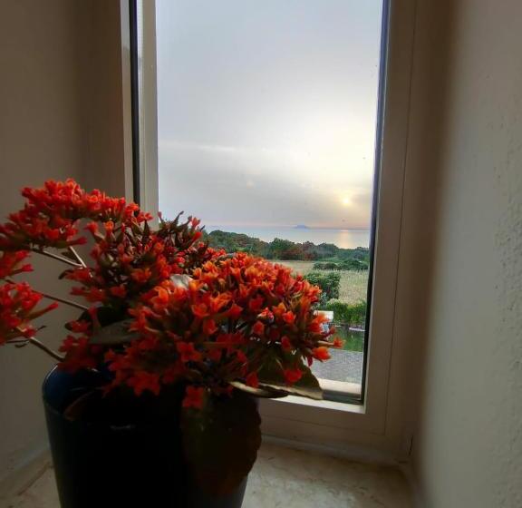 스탠다드 스튜디오 바다 전망, Gullo Capo Vaticano