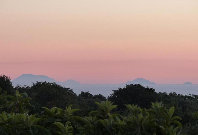 스탠다드 발코니 스튜디오, Gullo Capo Vaticano