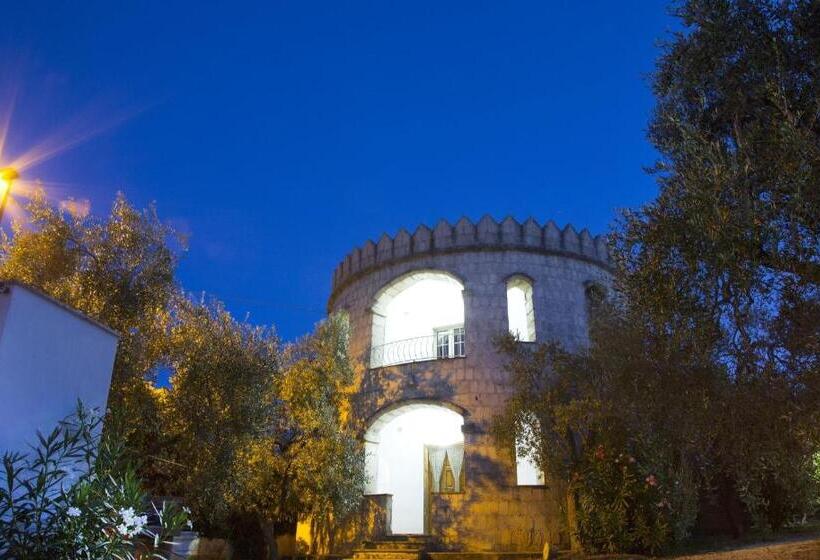 １ベッドルームベーシックアパートメント, Residence Torre Preziosa