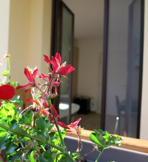 장애인을 위한 스탠다드 룸, Agriturismo Deviscio