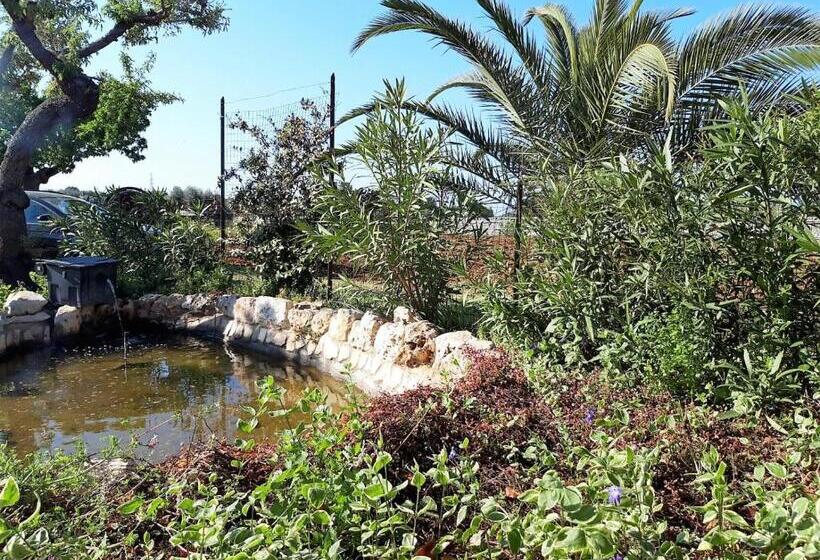 آپارتمان 1 خوابه, Casina Dei Preti