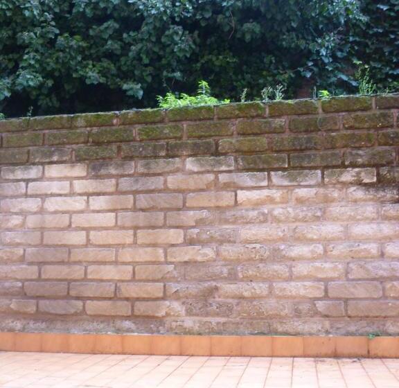 דירת חדר בקומת קרקע, Eur Nir Residence