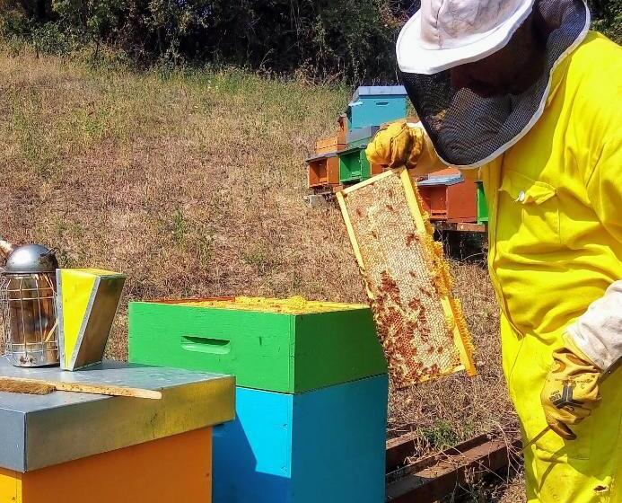 スタンダードルーム, Agriturismo Alla Vecchia Quercia