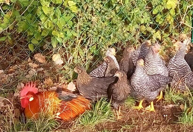 庭の見える１ベッドルームアパートメント, Agriturismo Alla Vecchia Quercia