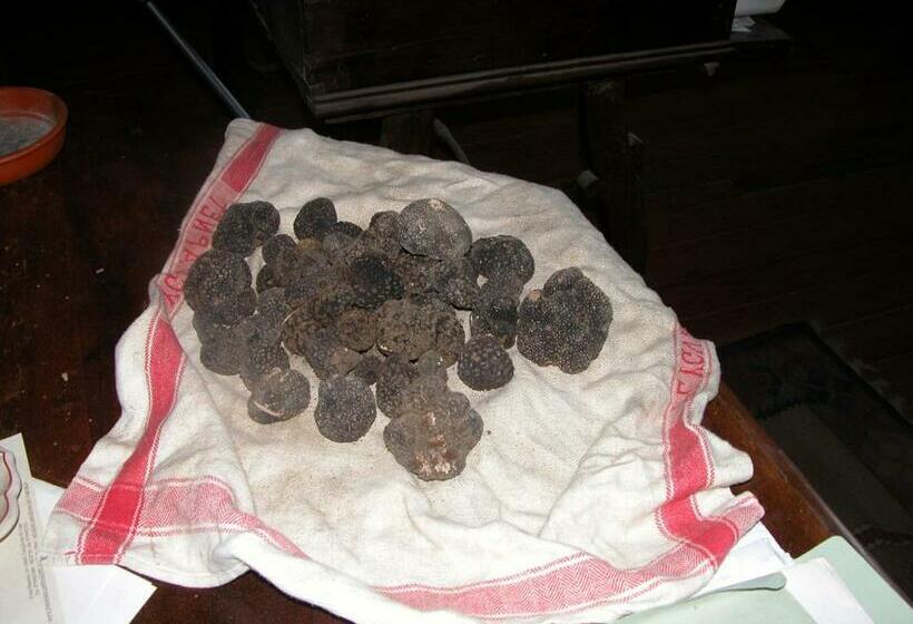 3间卧室的房子, Castello Di Mongiovino