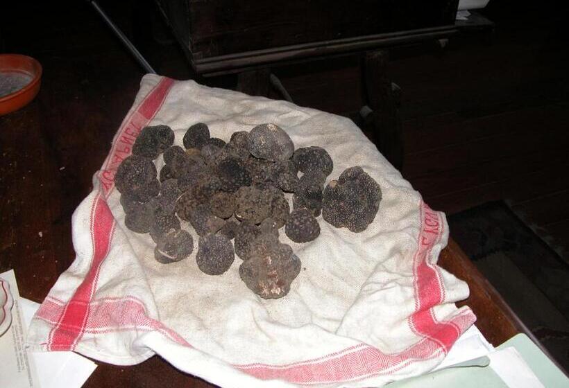 4间卧室的房子, Castello Di Mongiovino