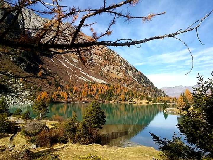 带1个卧室的别墅, Villa Amaranta Room And Breakfast