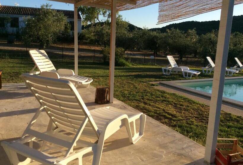 חדר סטנדרט, Tenuta Don Ballore