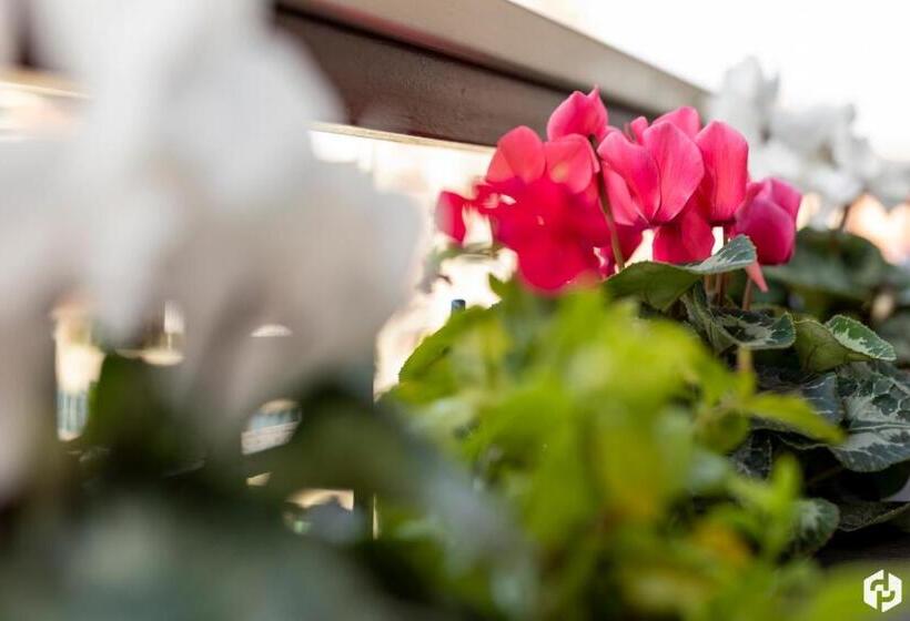 اتاق استاندارد, Daydreaming House