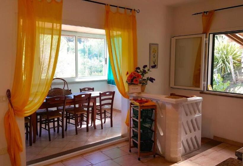 Апартаменты 3 Спальни, Residence Oasis