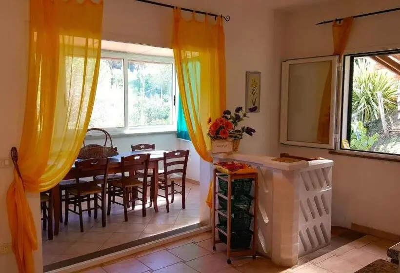 ３ベッドルームアパートメント, Residence Oasis