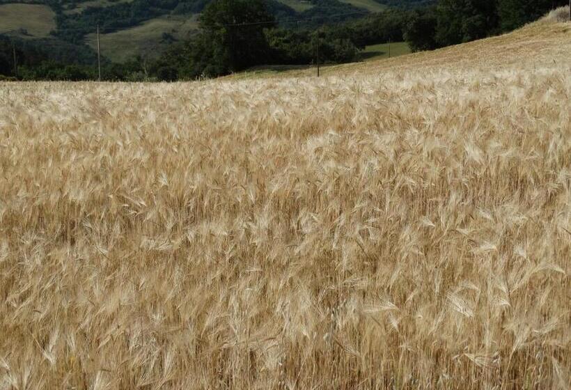 דירת חדר, Agriturismo La Poderina