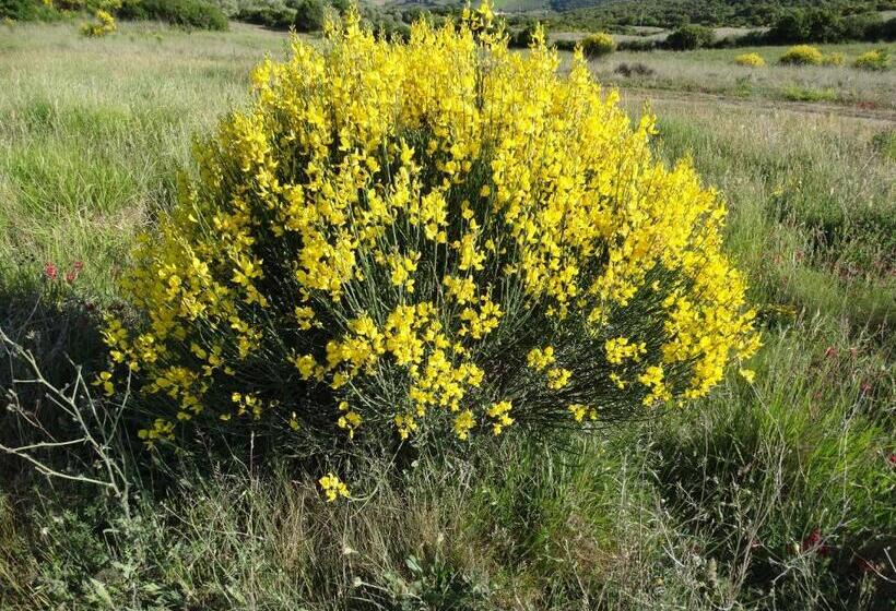 דירת שני חדרים, Agriturismo La Poderina