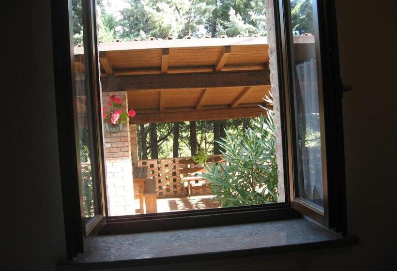 スタンダードスタジオ, Cà Maggio Nuovo