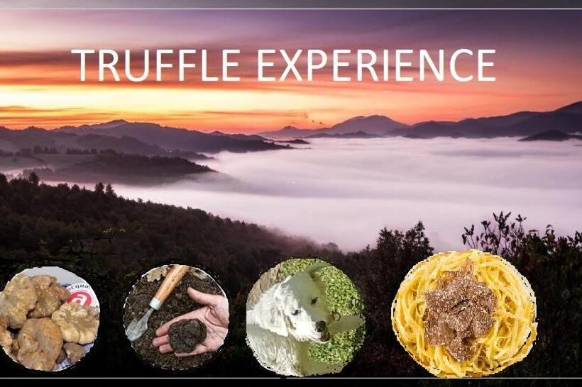 スタンダードルーム, Cà Maggio Nuovo