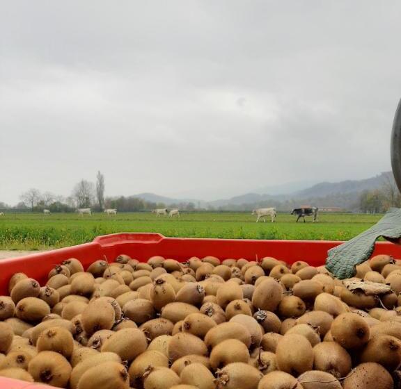 إستوديو ديلوكس, Agriturismo Fior Di Campo