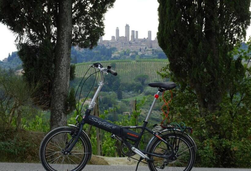 テラス付きスタンダードルーム, Agriturismo Montegonfoli
