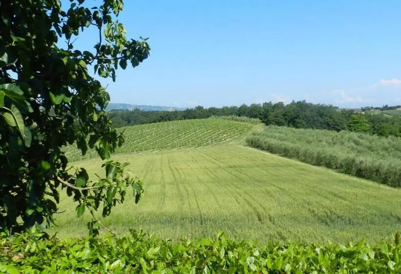 Standard-huone Terassi, Agriturismo Montegonfoli
