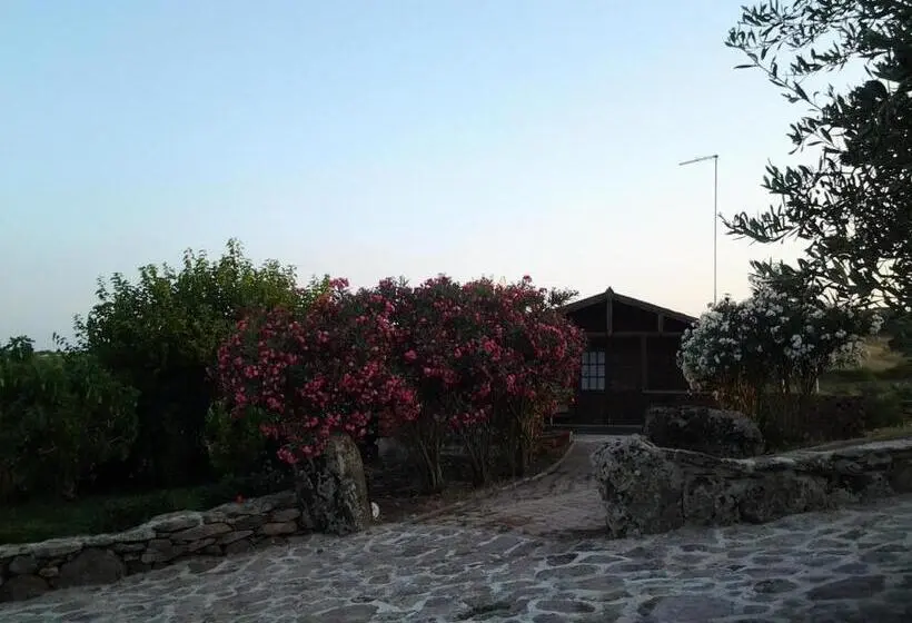 バンガローの２ベッドスタンダードルーム, Agriturismo Su Recreu