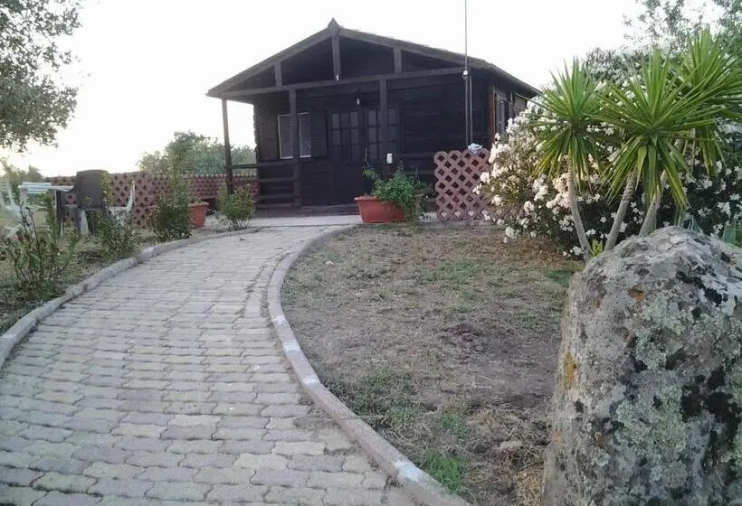 バンガローの２ベッドスタンダードルーム, Agriturismo Su Recreu
