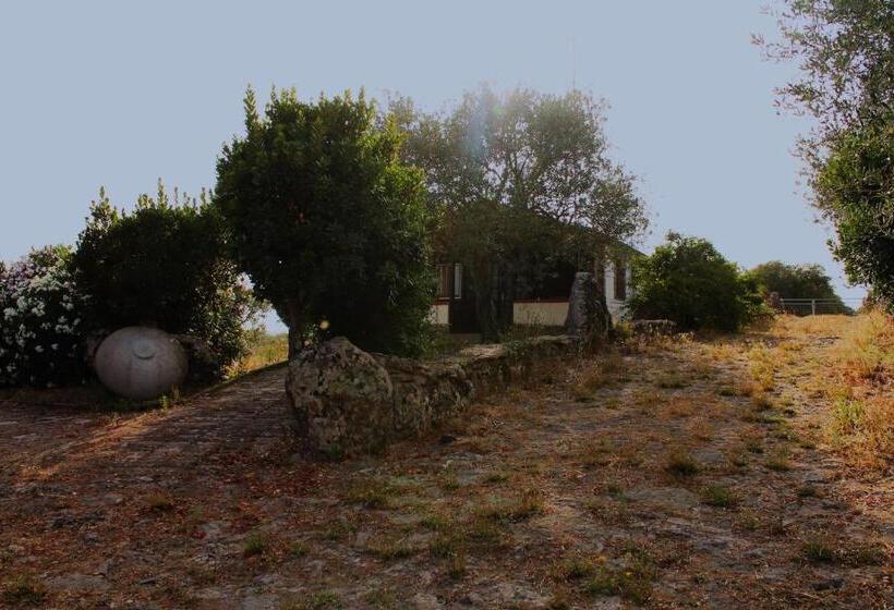 بانگلوی استاندارد, Agriturismo Su Recreu