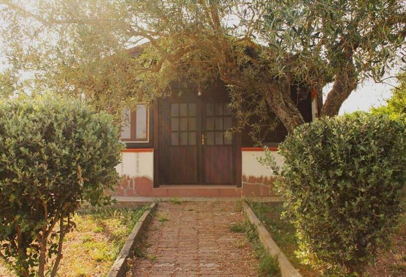 Бунгало Стандарт, Agriturismo Su Recreu